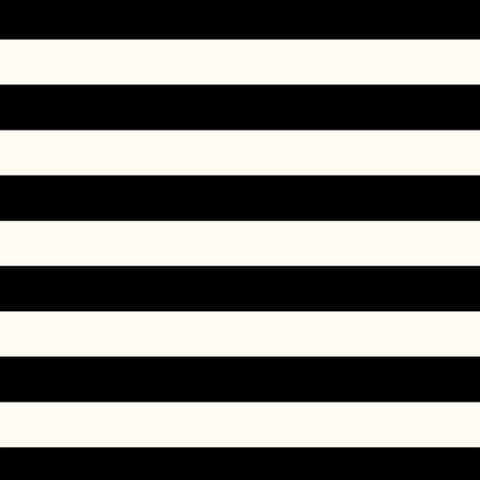 2026 Mini Weekly Planner: Black Stripe